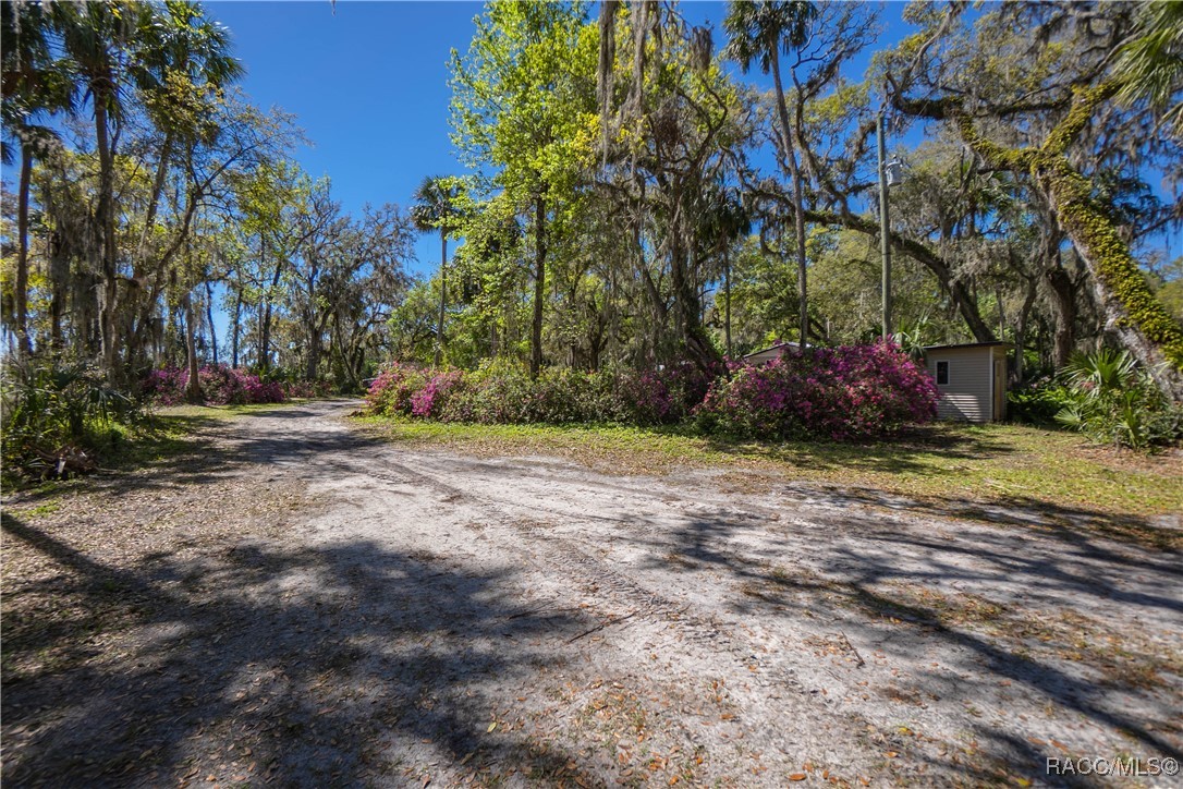 10459 E Lucas Trail, Inverness, Florida image 27