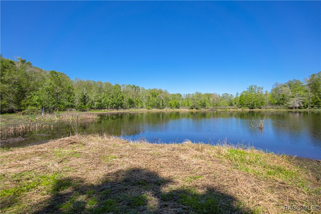 10459 E Lucas Trail, Inverness, Florida image 39