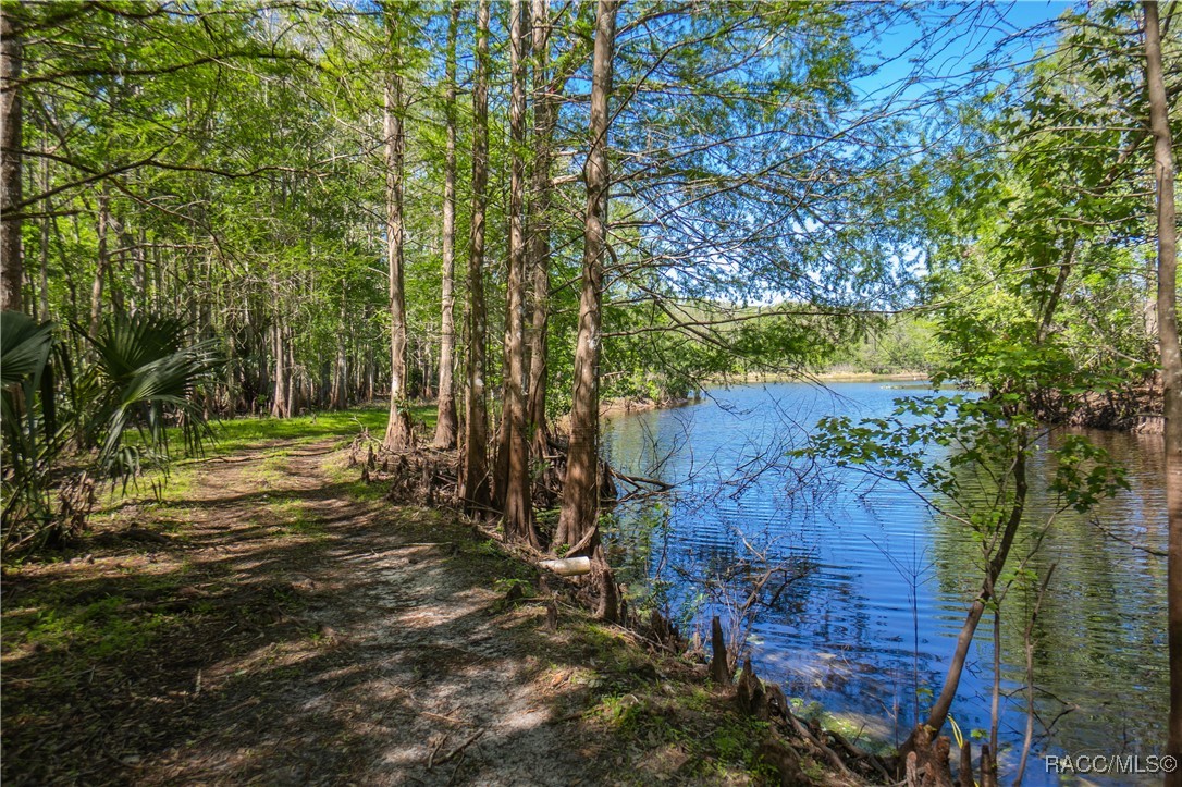 10459 E Lucas Trail, Inverness, Florida image 36