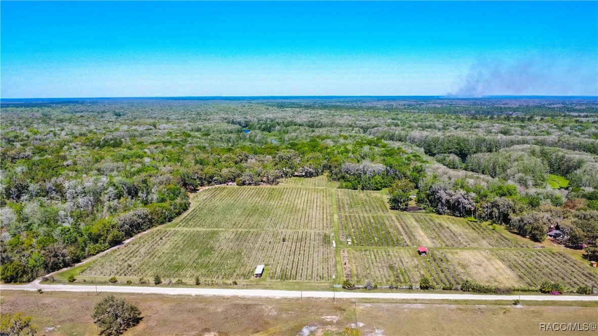 10459 E Lucas Trail, Inverness, Florida image 48
