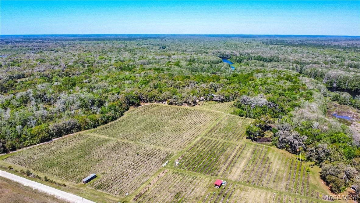 10459 E Lucas Trail, Inverness, Florida image 50