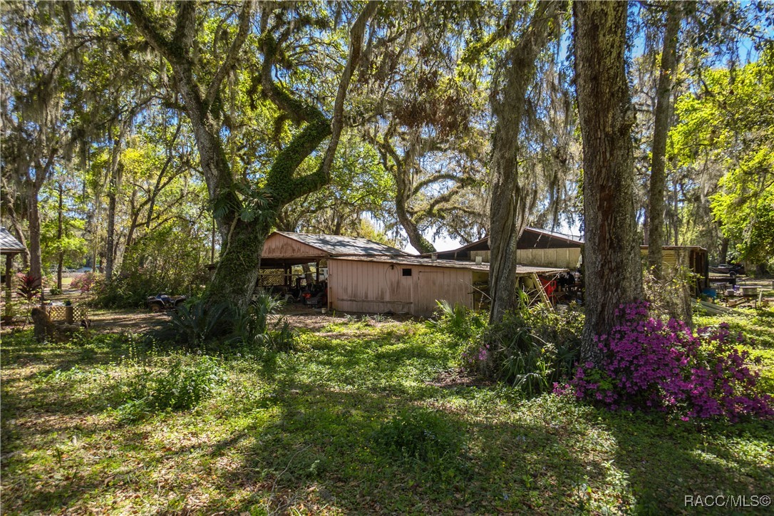 10459 E Lucas Trail, Inverness, Florida image 19