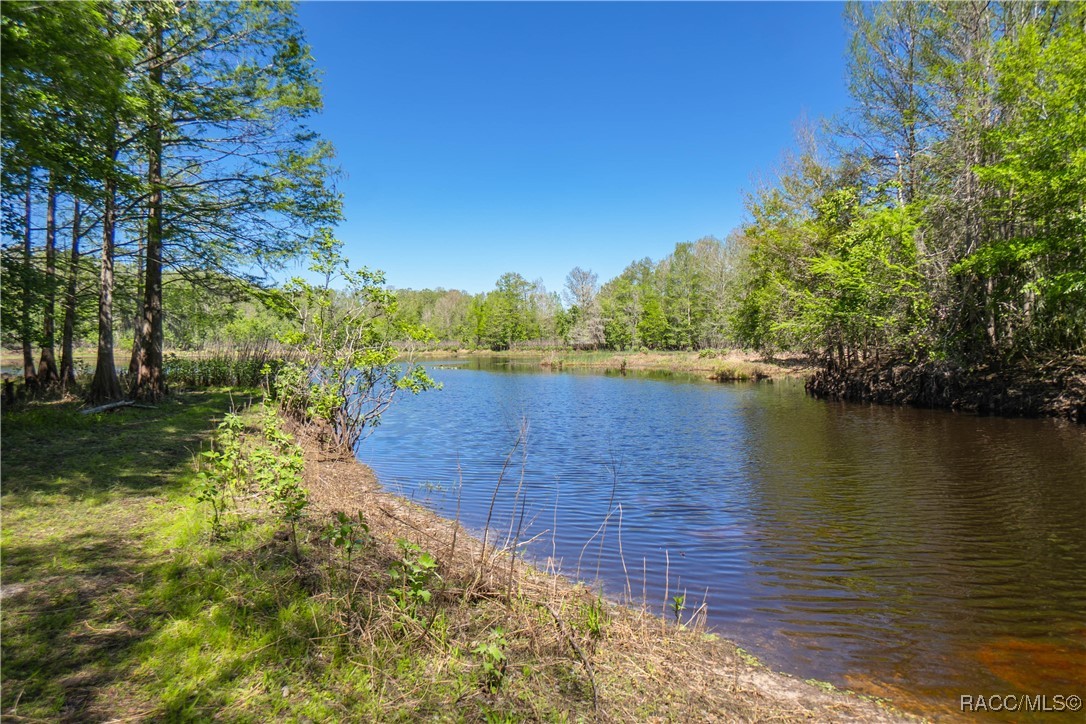 10459 E Lucas Trail, Inverness, Florida image 37