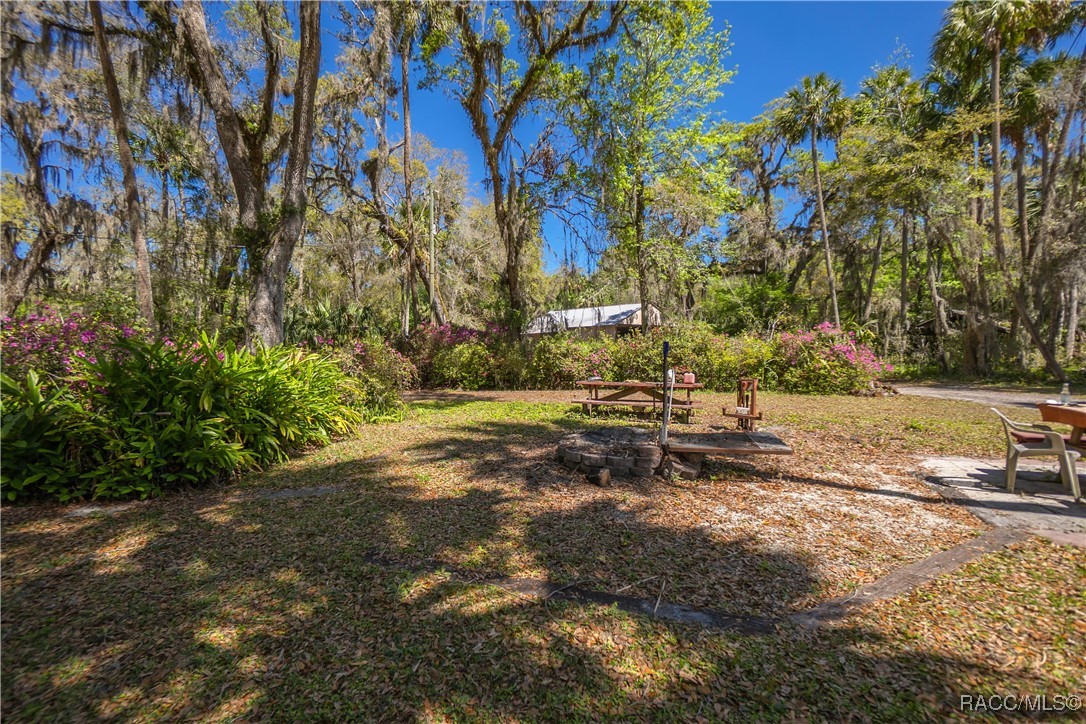 10459 E Lucas Trail, Inverness, Florida image 9