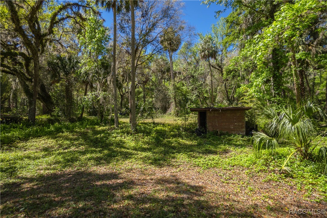 10459 E Lucas Trail, Inverness, Florida image 18