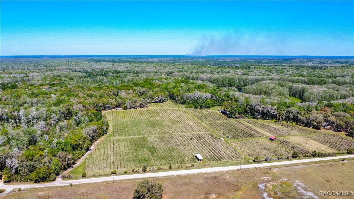 10459 E Lucas Trail, Inverness, Florida image 47