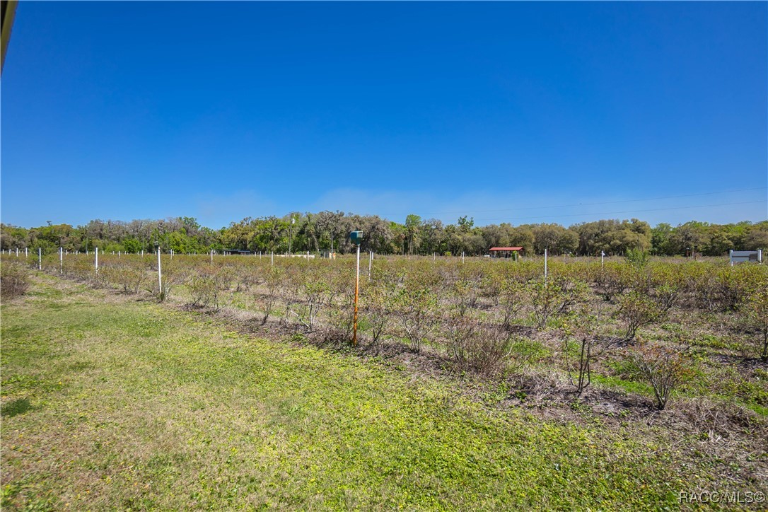 10459 E Lucas Trail, Inverness, Florida image 43