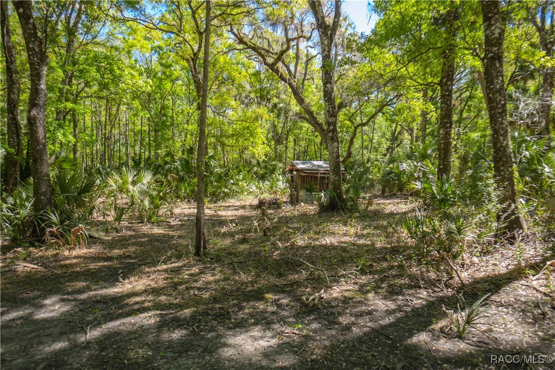 10459 E Lucas Trail, Inverness, Florida image 33