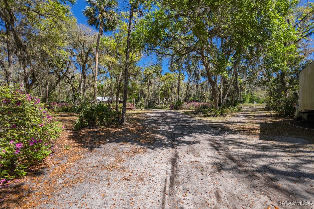10459 E Lucas Trail, Inverness, Florida image 5