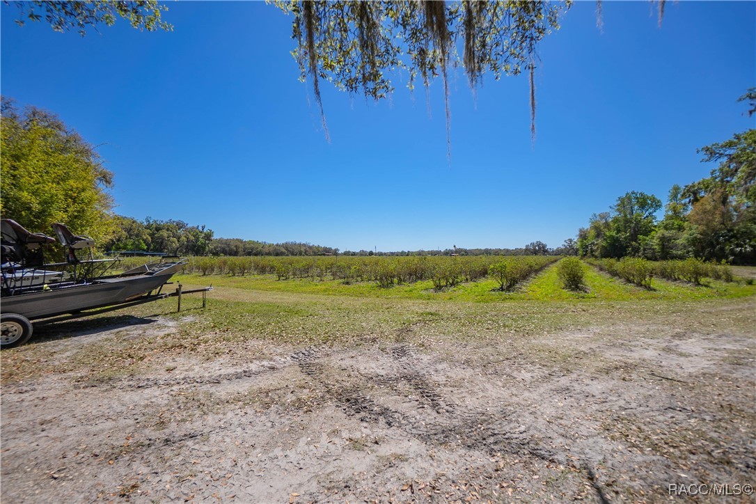 10459 E Lucas Trail, Inverness, Florida image 3