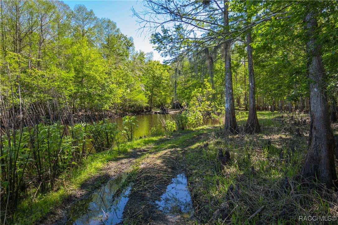 10459 E Lucas Trail, Inverness, Florida image 40