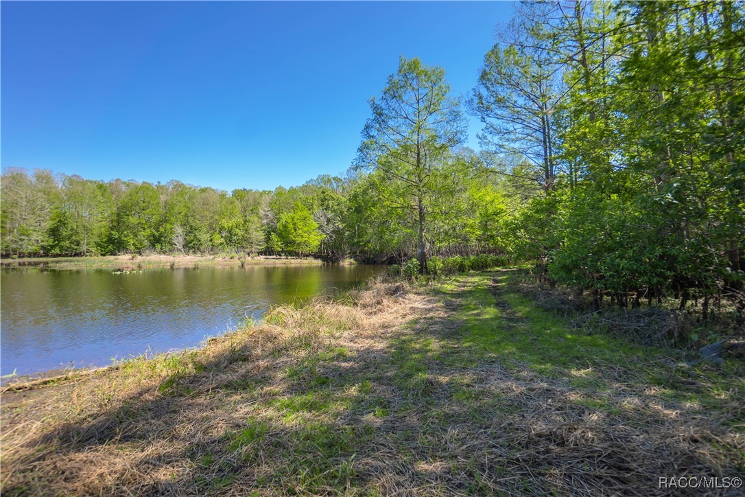 10459 E Lucas Trail, Inverness, Florida image 38