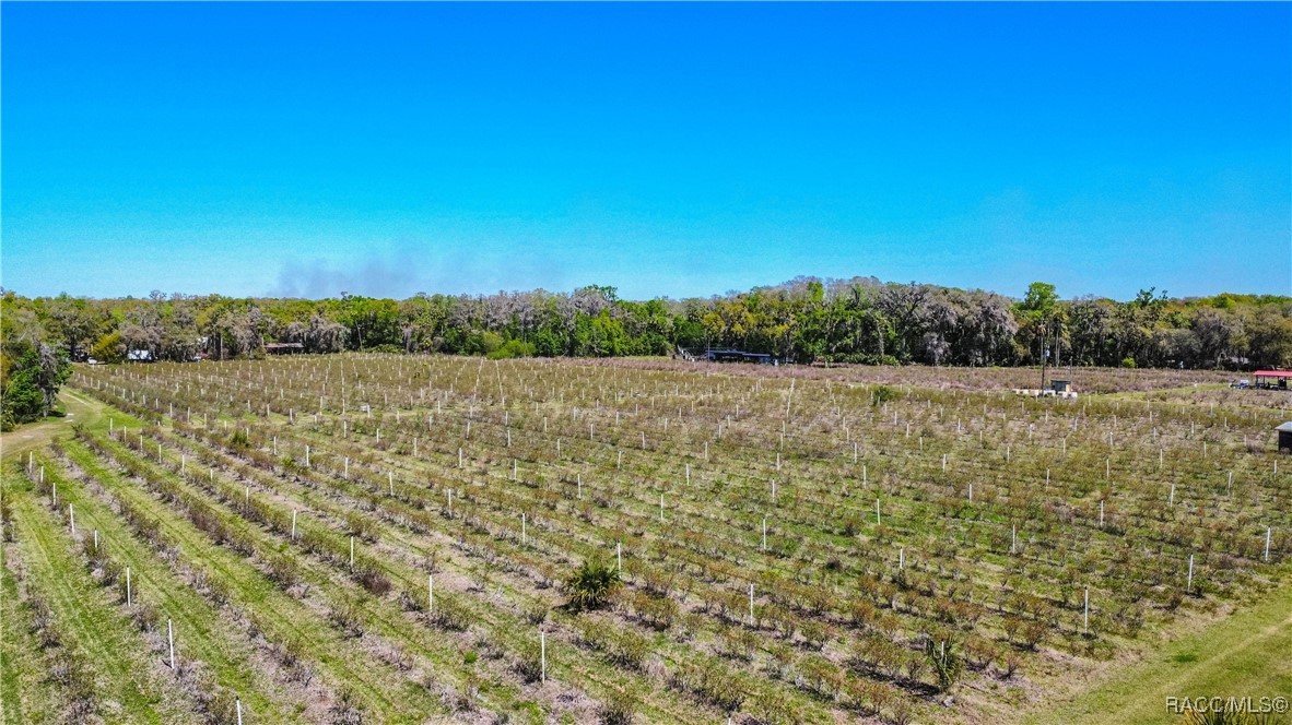 10459 E Lucas Trail, Inverness, Florida image 45
