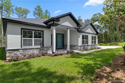 Homes For Sale - 3946 N Longvalley Road<br/> Hernando, FL 34442