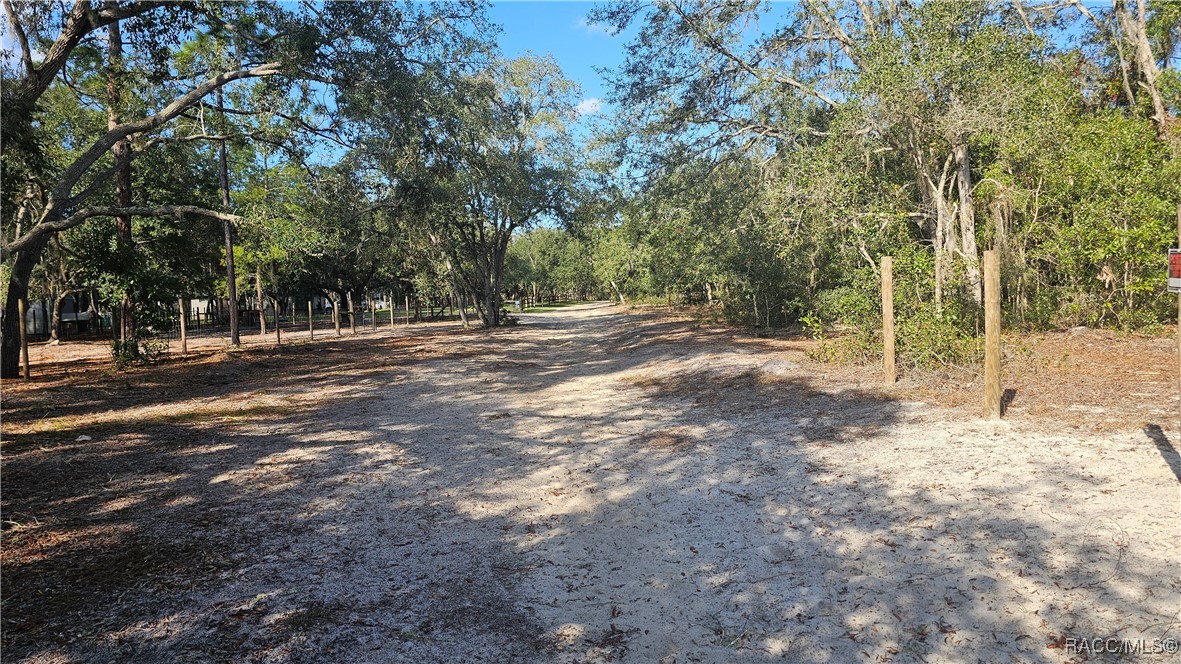 3673 S Heron Point, Inverness, Florida image 2