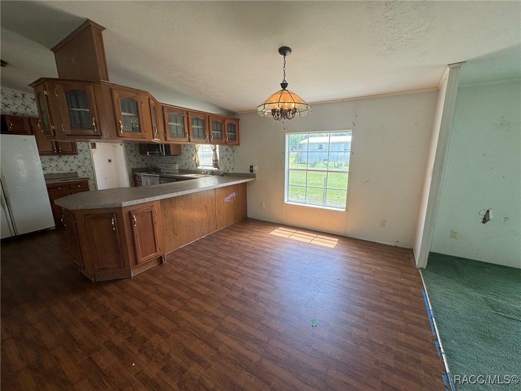 14915 Douglas Street, Dade City, Florida image 5