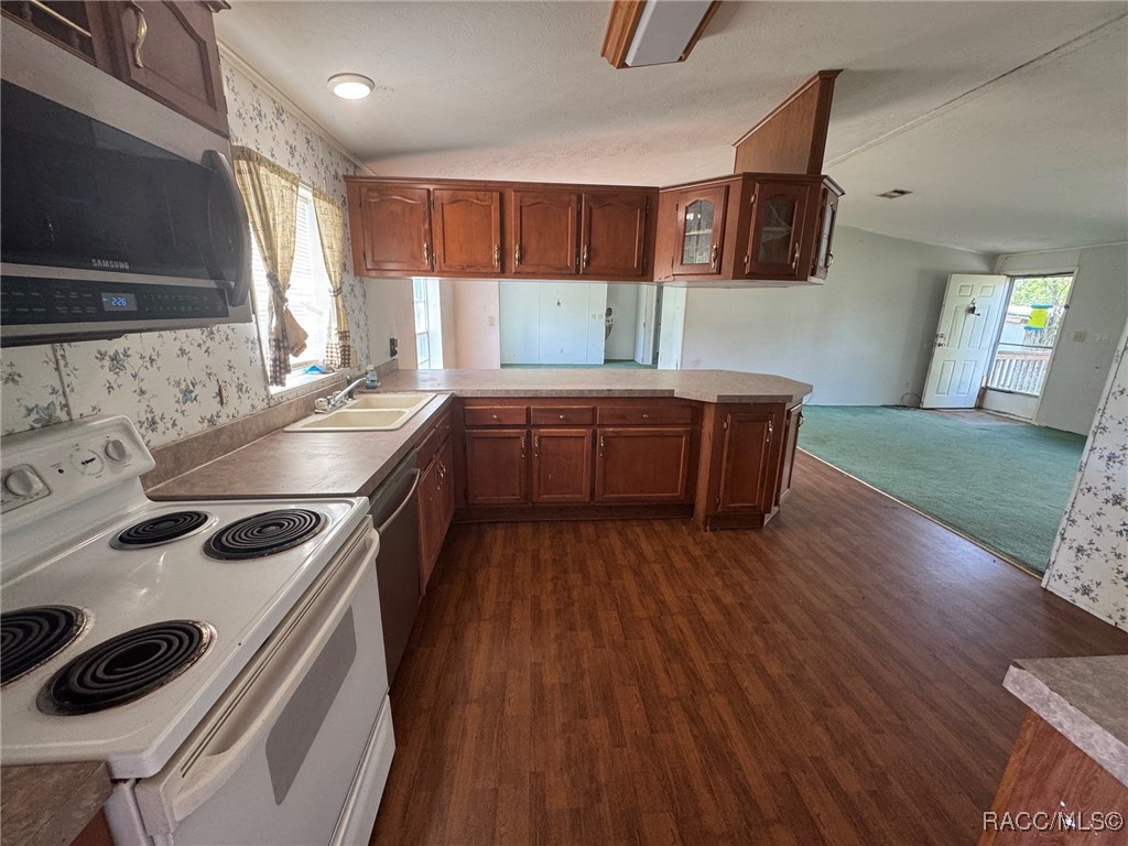 14915 Douglas Street, Dade City, Florida image 6