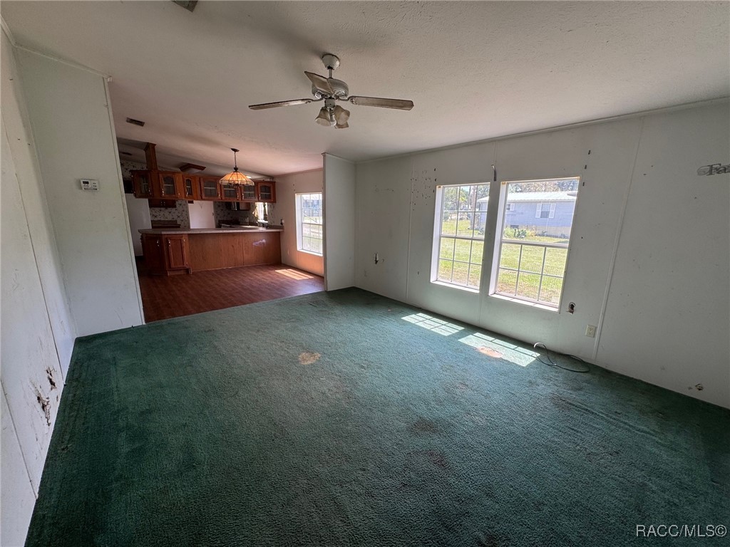 14915 Douglas Street, Dade City, Florida image 3