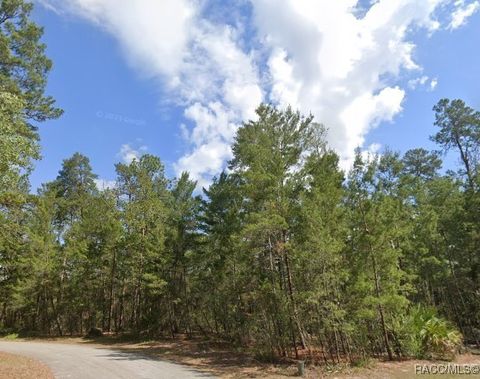24 Browallia Court Homosassa FL 34446