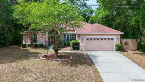 7690 N Greendale Drive Citrus Springs FL 34434