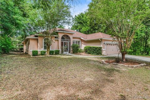 7690 N Greendale Drive Citrus Springs FL 34434