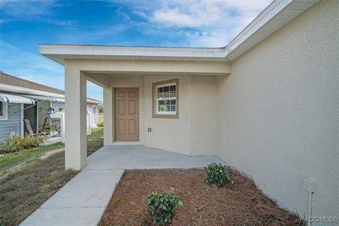 A home in Floral City