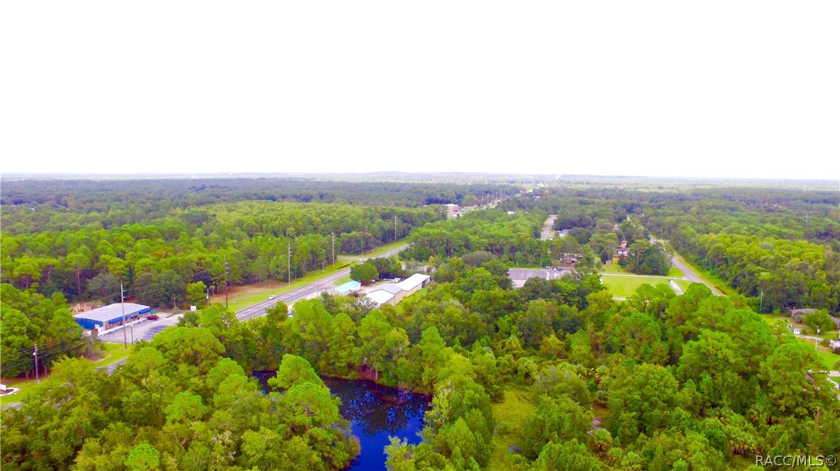 4125 S Grandmarch Avenue, Homosassa, Florida image 5