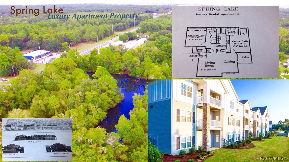 4125 S Grandmarch Avenue, Homosassa, Florida image 2