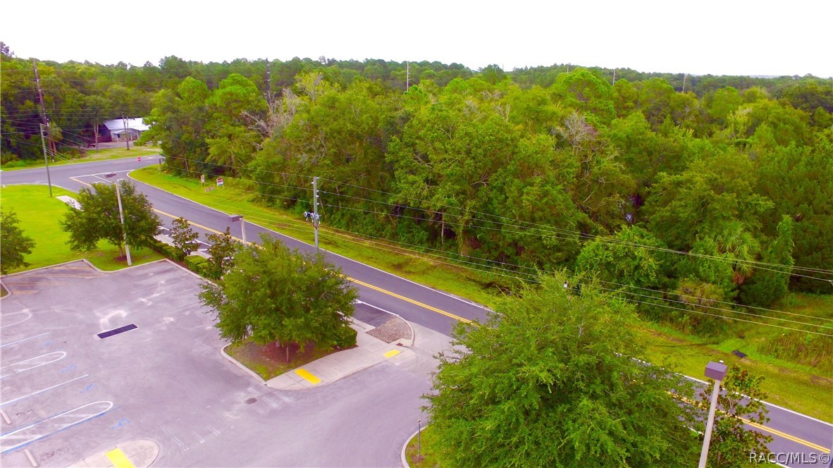 4125 S Grandmarch Avenue, Homosassa, Florida image 6