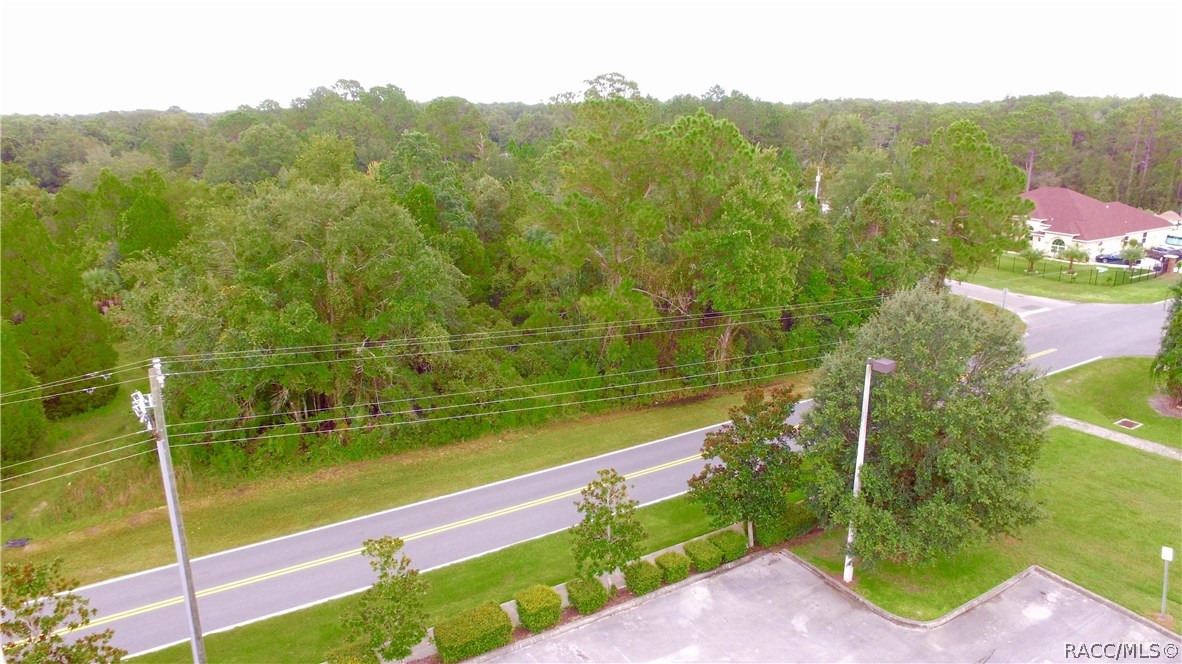4125 S Grandmarch Avenue, Homosassa, Florida image 8