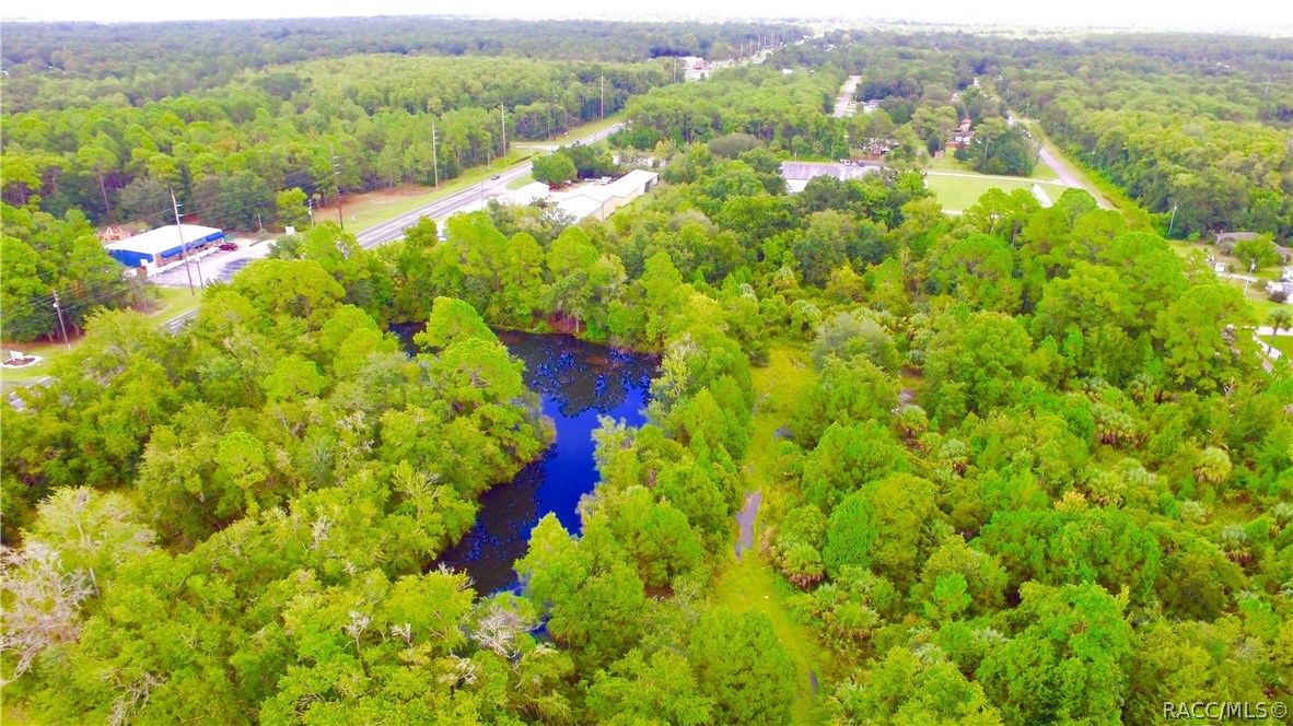 4125 S Grandmarch Avenue, Homosassa, Florida image 1