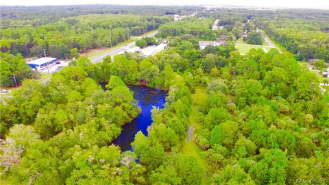 Vacant Land For Sale - 4125 S Grandmarch Avenue<br/> Homosassa, FL 34446