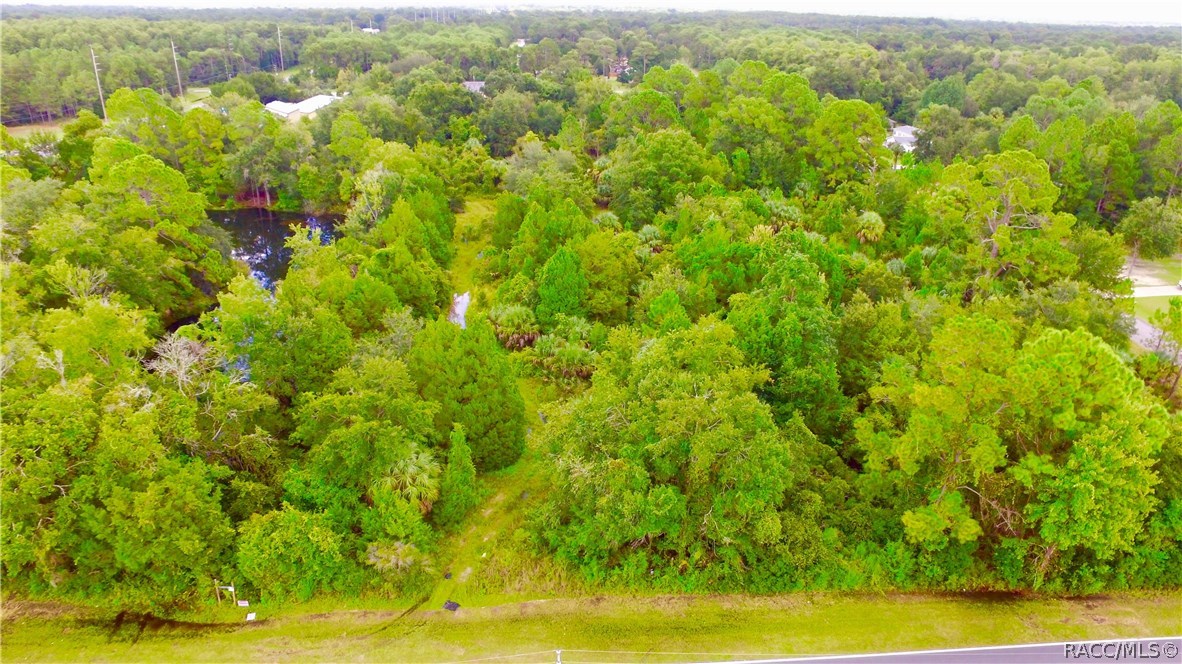 4125 S Grandmarch Avenue, Homosassa, Florida image 4
