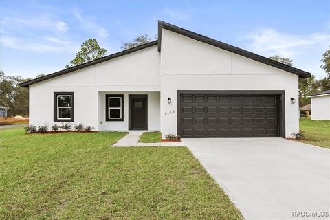 8100 N Tiny Lily Drive Citrus Springs FL 34434