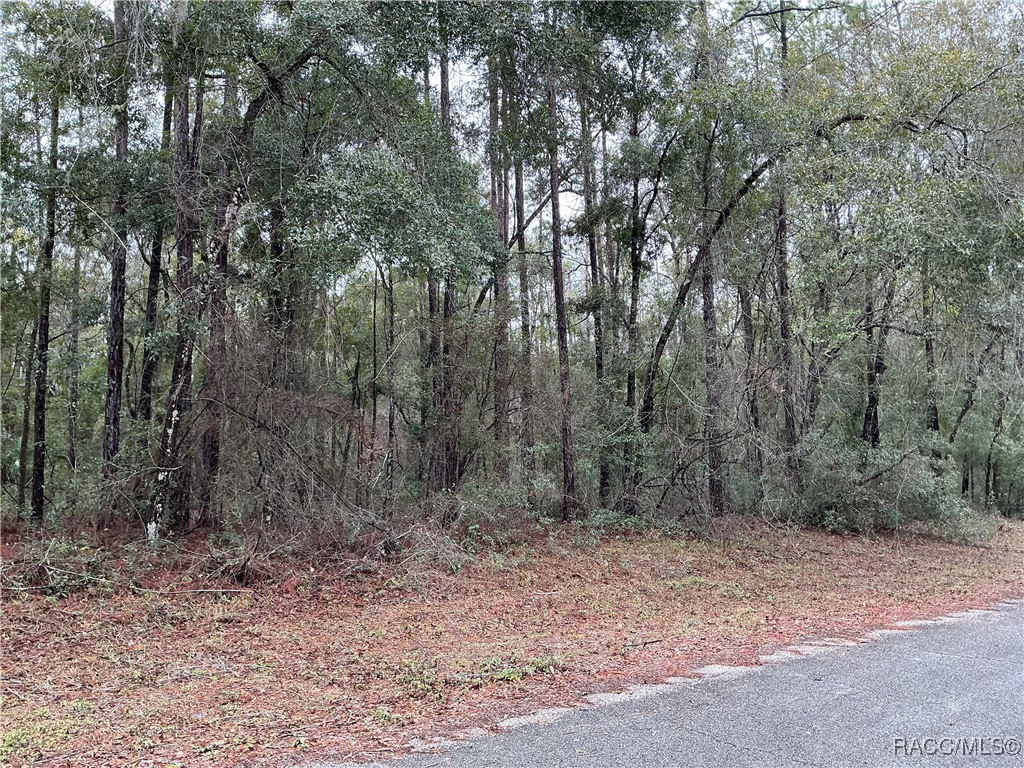 8710 N Spikes Way, Dunnellon, New York image 3