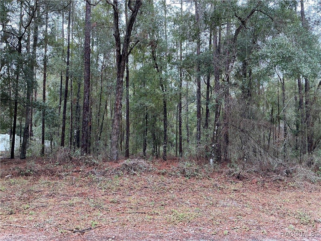 8710 N Spikes Way, Dunnellon, New York image 1