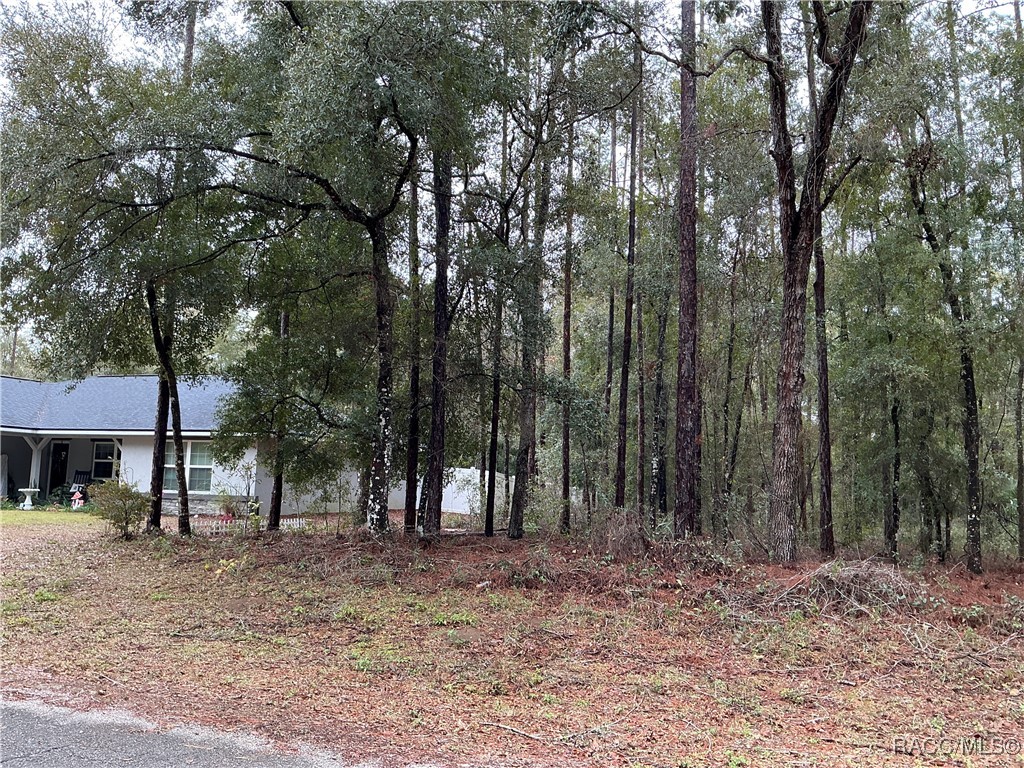 8710 N Spikes Way, Dunnellon, New York image 2