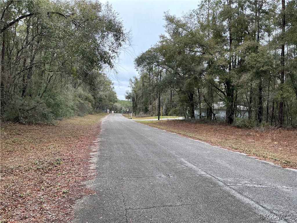 8710 N Spikes Way, Dunnellon, New York image 5