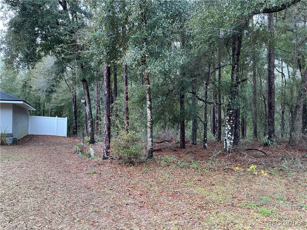 8710 N Spikes Way, Dunnellon, New York image 4