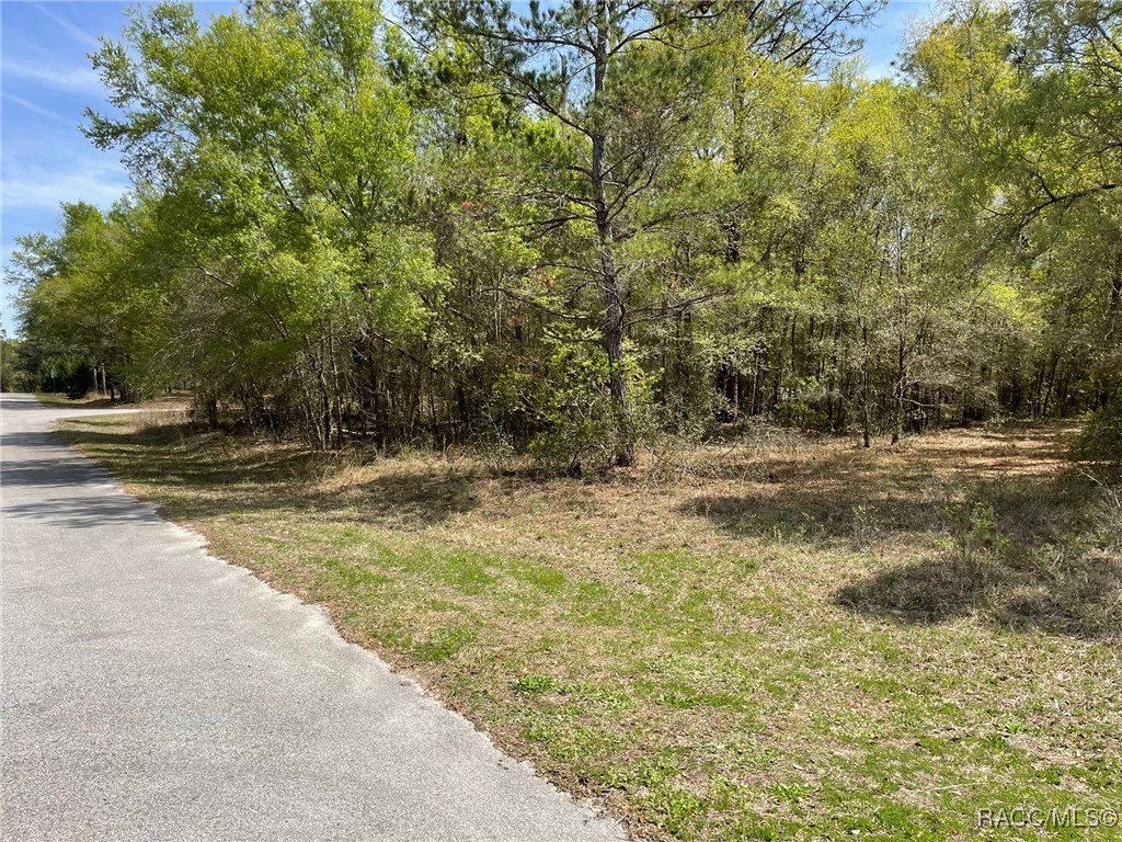LOTS 1011 SW 202 Court, Dunnellon, Florida image 4