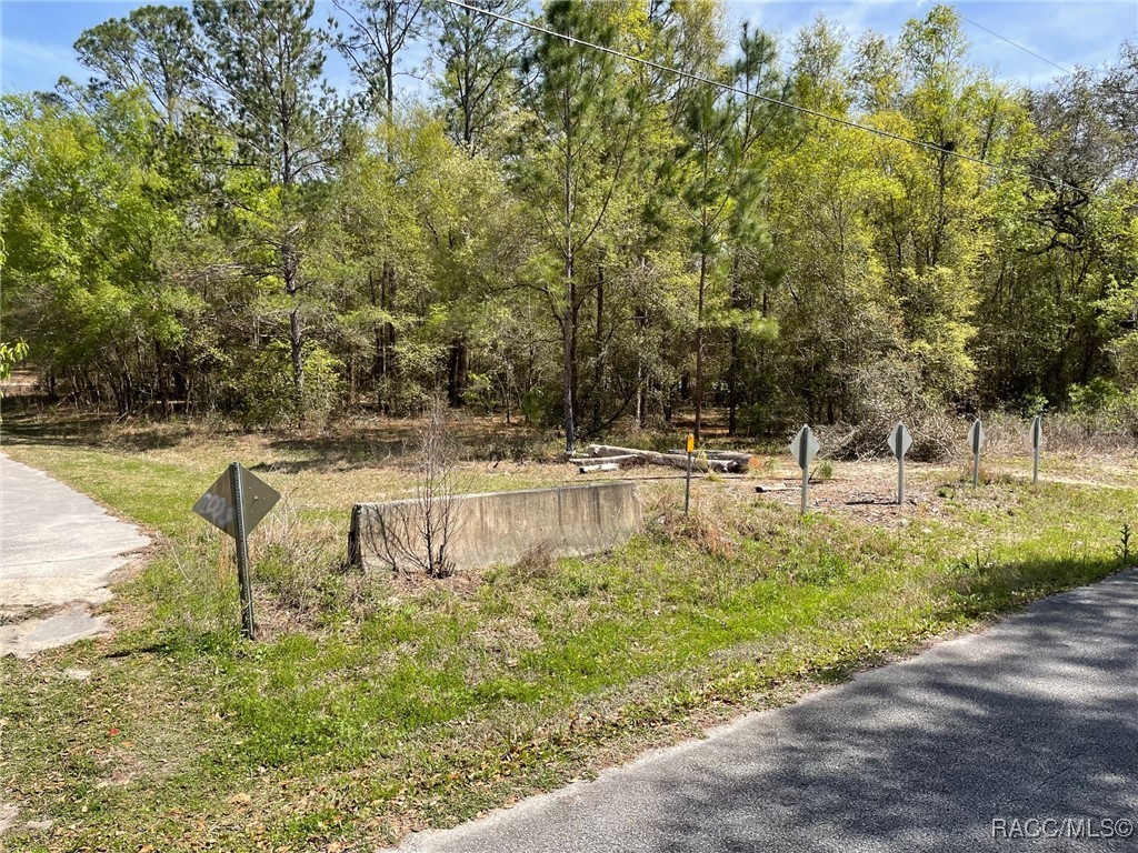 LOTS 1011 SW 202 Court, Dunnellon, Florida image 6