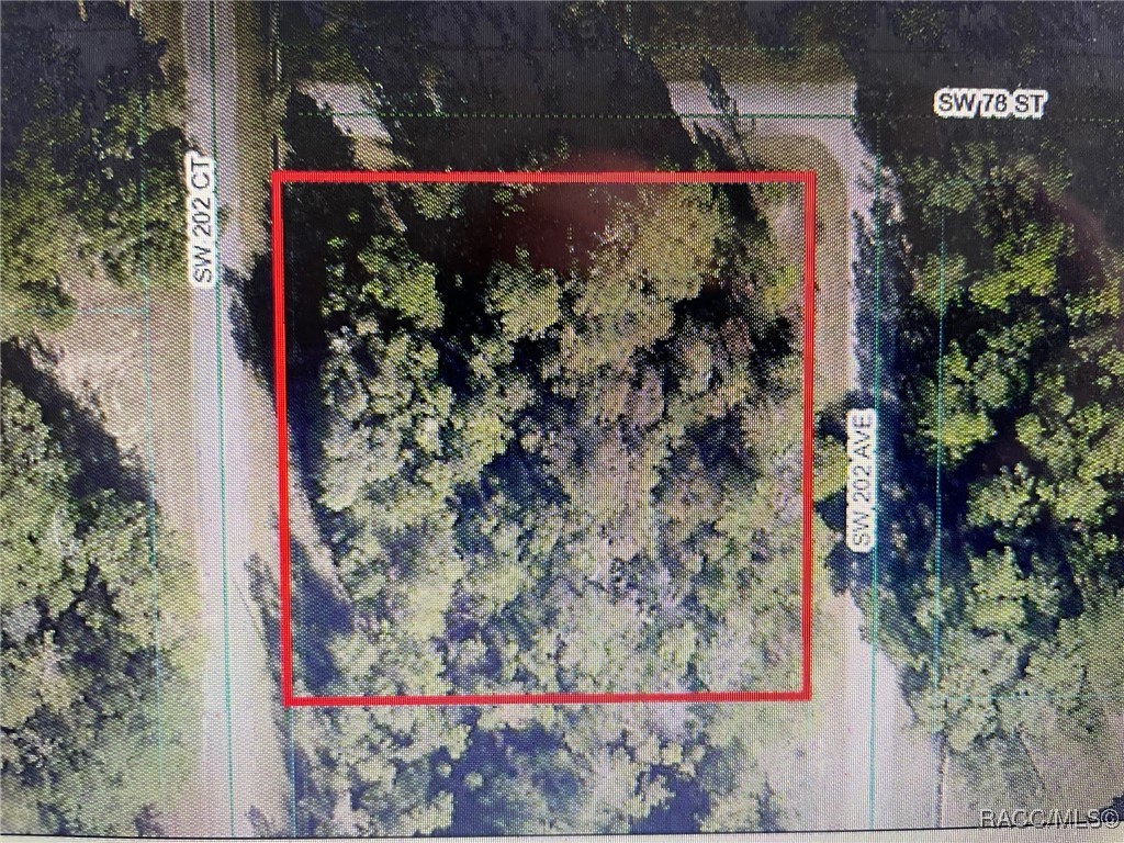 LOTS 1011 SW 202 Court, Dunnellon, Florida image 7