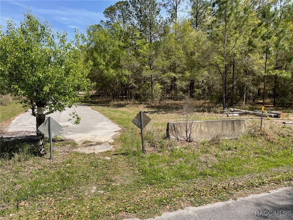 LOTS 1011 SW 202 Court, Dunnellon, Florida image 5