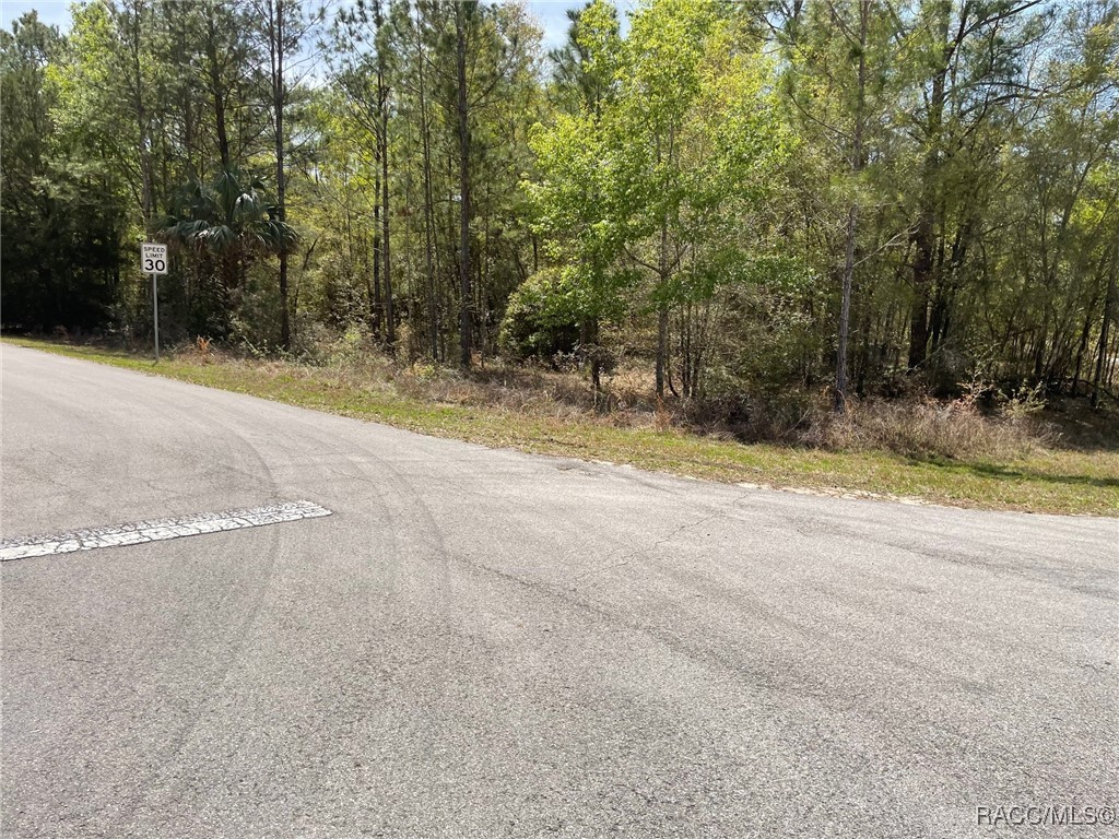 LOTS 1011 SW 202 Court, Dunnellon, Florida image 2