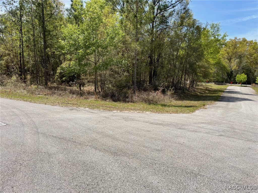 LOTS 1011 SW 202 Court, Dunnellon, Florida image 1
