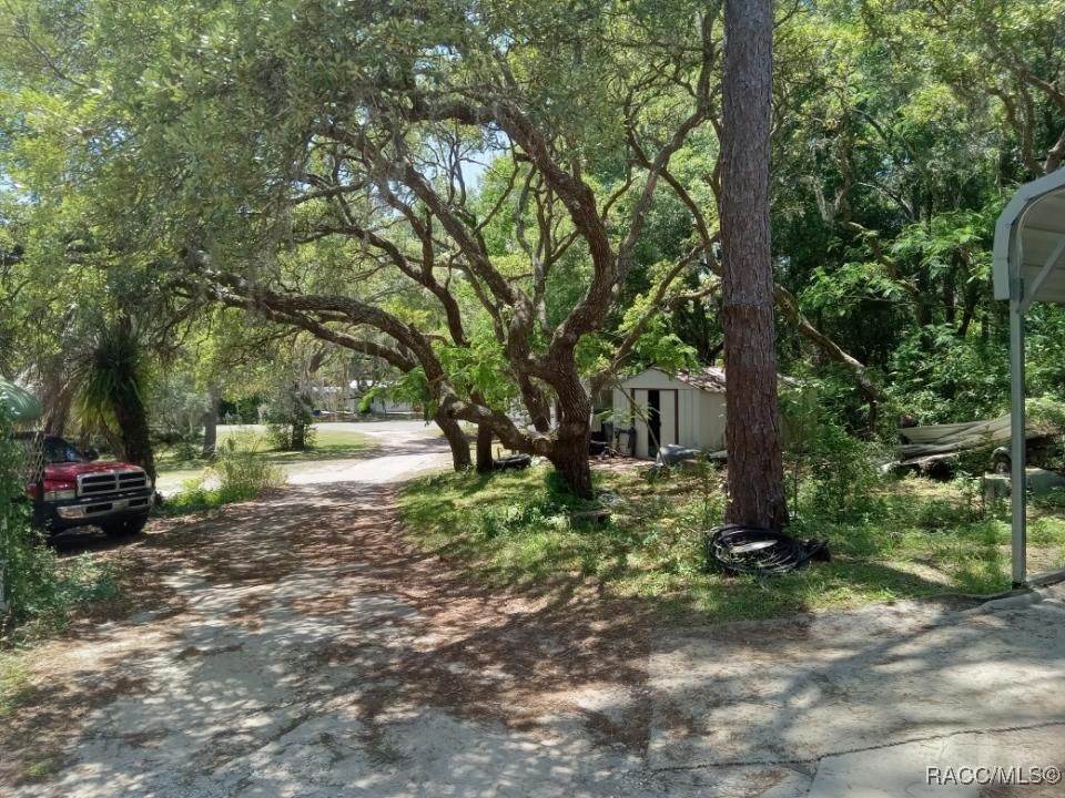 3071 E Dove Court, Inverness, Florida image 10