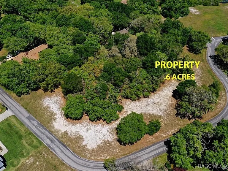 9515 E Baymeadows Drive, Inverness, New York image 3