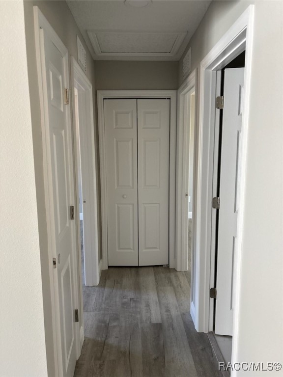 8236 N Tiny Lily Drive, Citrus Springs, Florida image 25