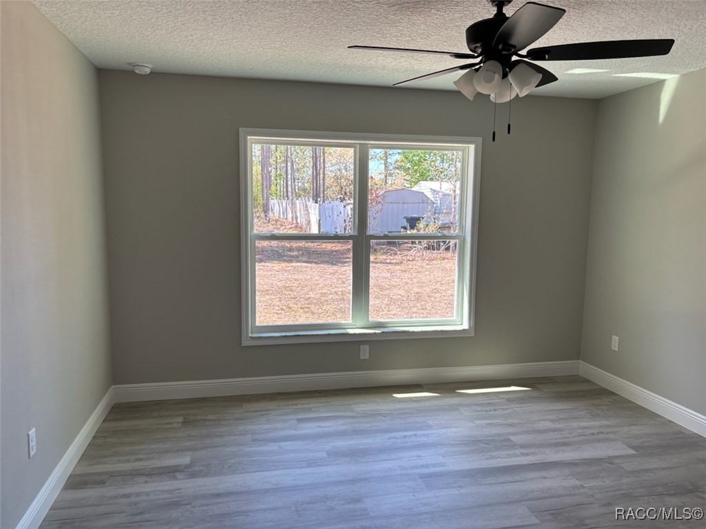 8236 N Tiny Lily Drive, Citrus Springs, Florida image 19