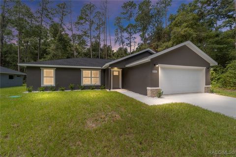 A home in Citrus Springs